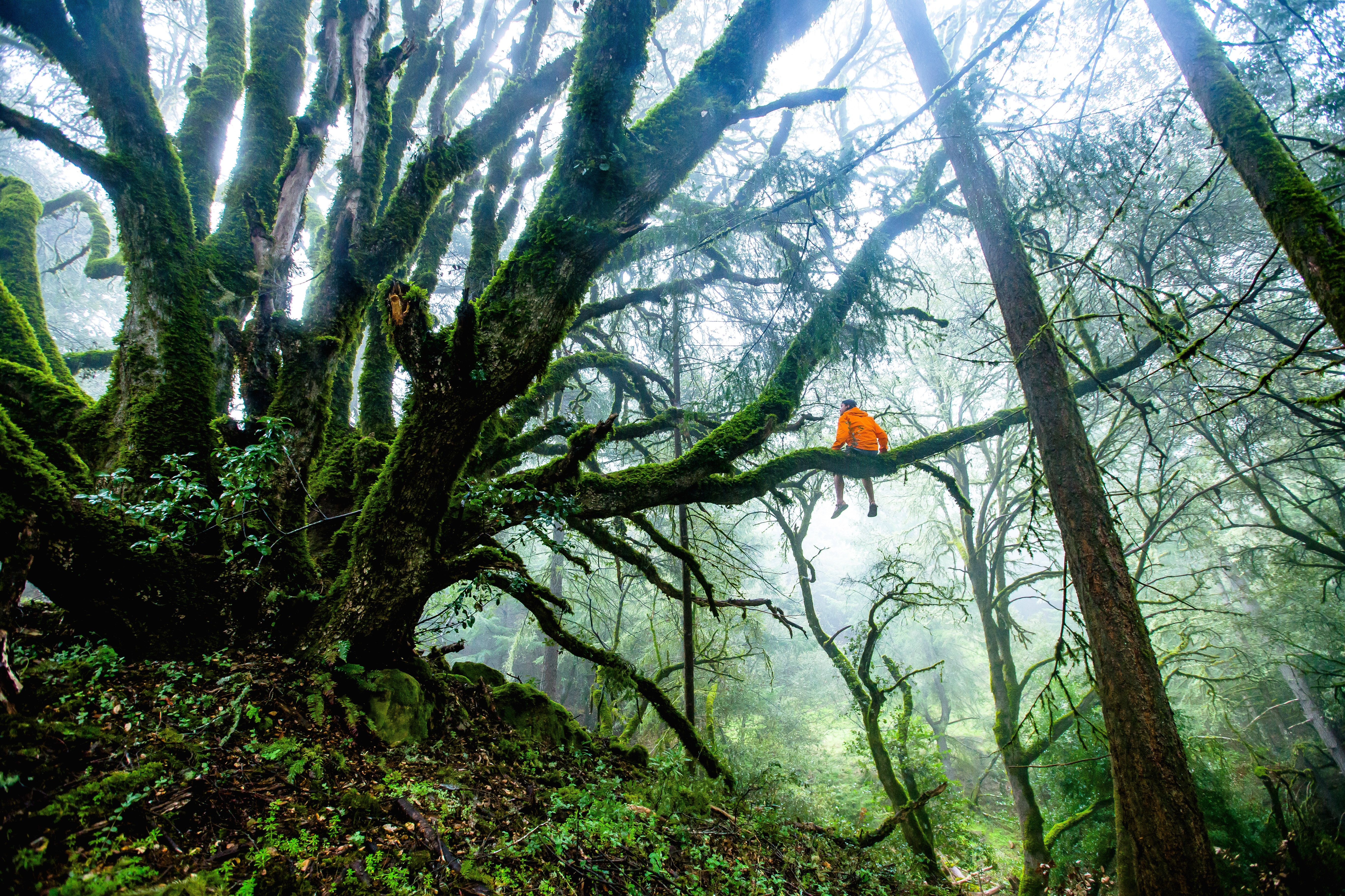 teddy-kelley-71908-unsplash